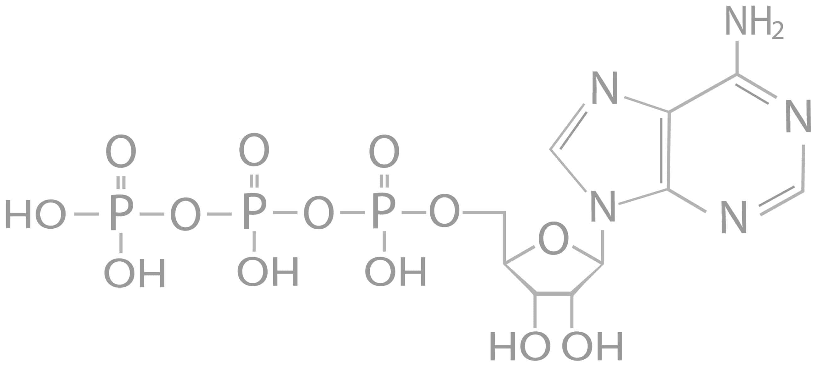 atp